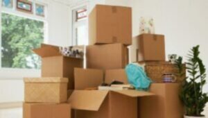 Packers and Movers Pachpedi Naka