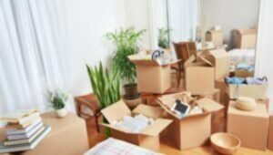 Packers and Movers New Rajendra Nagar