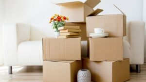 Packers and Movers Jashpur