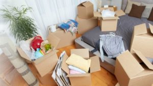 Packers and Movers Jagdalpur