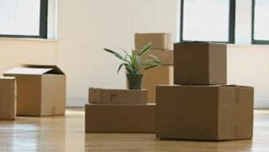 Packers and Movers Gariaband