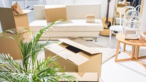 Packers and Movers Dongargarh