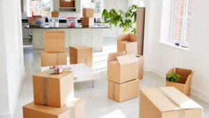 Packers and Movers Dhamtari