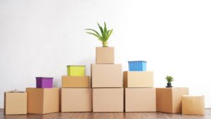 Packers and Movers Champa