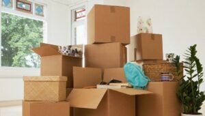 Packers and Movers Bhilai