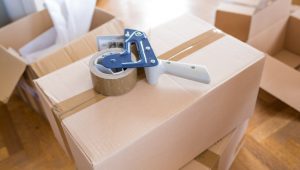 Packers and Movers Bhanupratappur