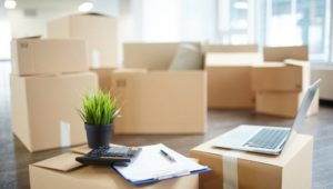 Packers and Movers Bemetara