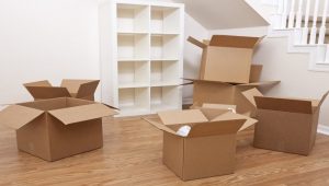 Packers and Movers Ambikapur