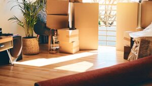 Packers and Movers Gondwara