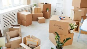 Packers and Movers Ganjpara