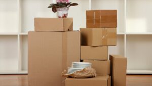 Packers and Movers Fafadih