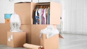 Packers and Movers Devendra Nagar