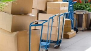 Packers and Movers Raipur