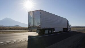 Packers and Movers Rajim