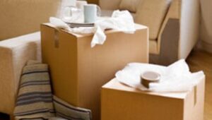 Packers and Movers Pendra