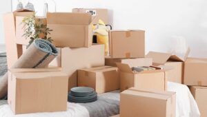 Packers and Movers Patan