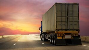 Packers and Movers Lormi