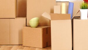 Packers and Movers Koriya