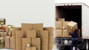 Packers and Movers Ravi Shankar University Area