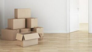 Packers and Movers Saddu