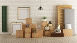Packers and Movers Ramkund